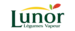 cat_lunor_1.png cat_lunor_1.png